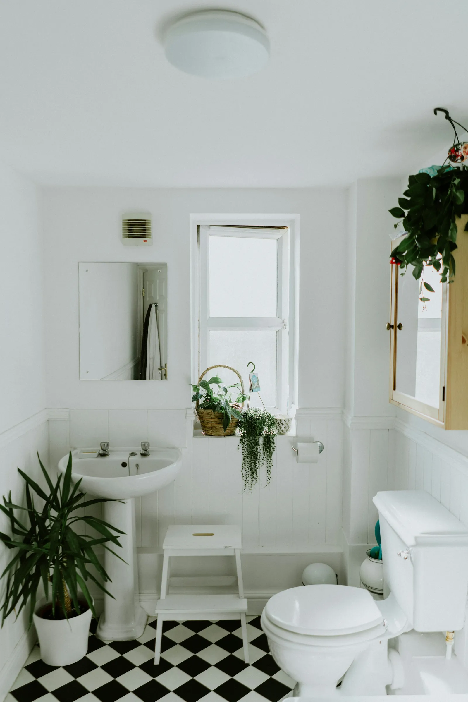 A clean white bathroom with plants and a black and white floor