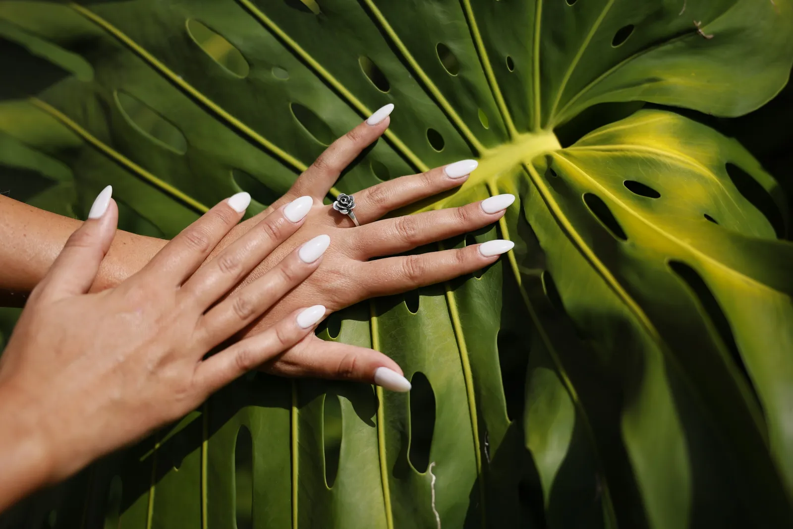 Hands with long white almond nails on a green leaf
