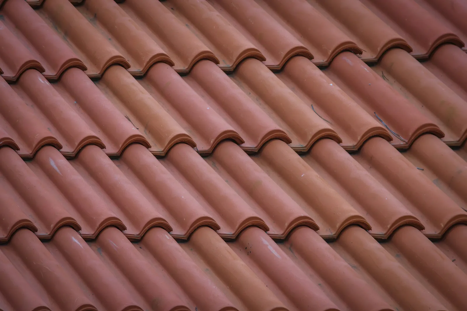 Curved clay roof tiles seen up close