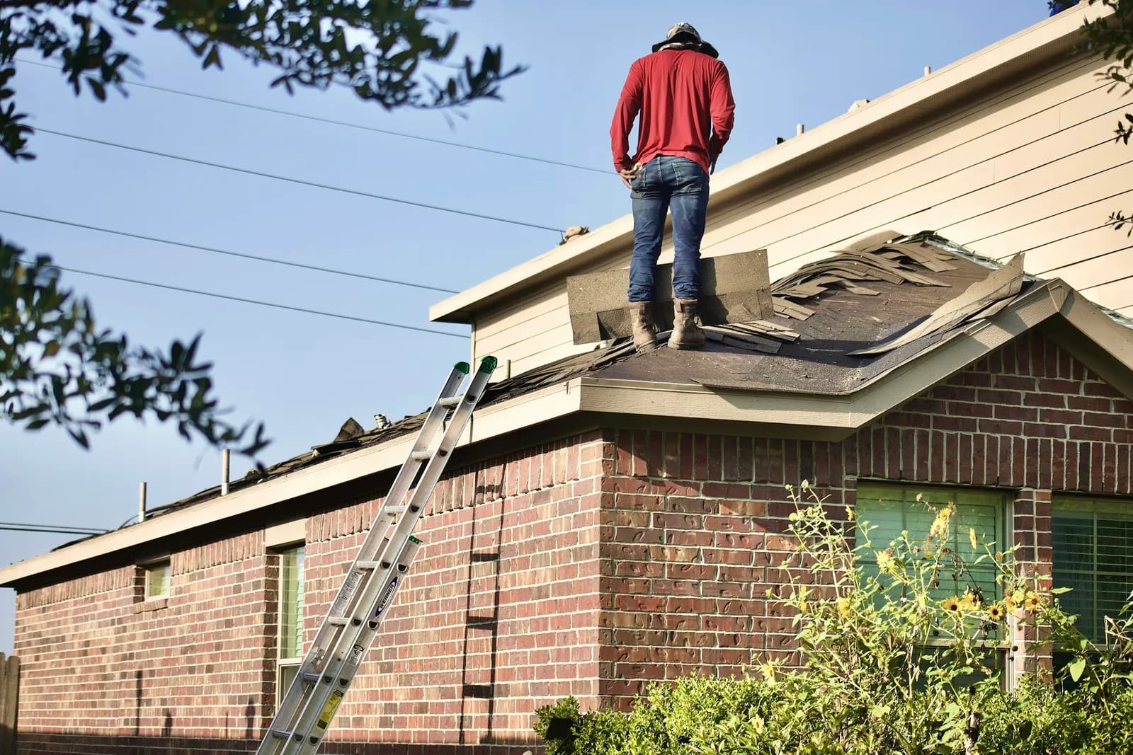 A roofer stands on a brick house with the old shingles coming off, and a ladder against the wall